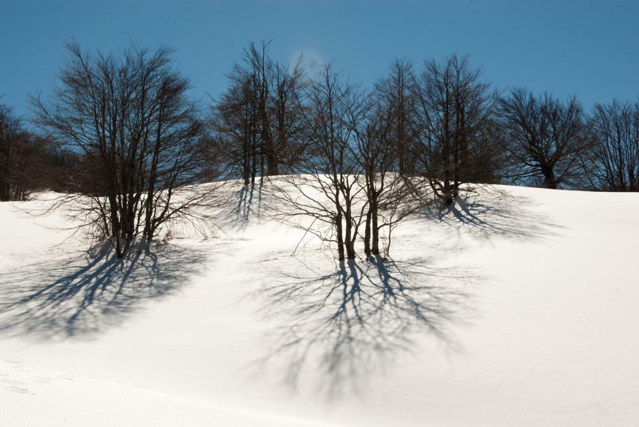 Tana Libera Tutti 2 Nature, Yourself, Love Viggianello Exterior foto
